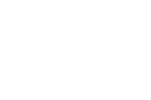 lg_logo_white.png