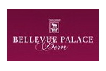 bellevue_palace.jpg